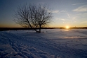 Baum Winter Sonne_DSC2919 Kopie